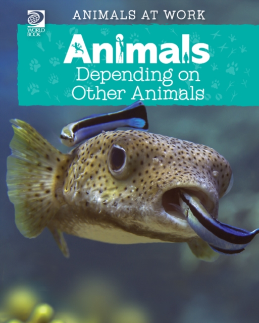 Animals Depending on Other Animals, PDF eBook