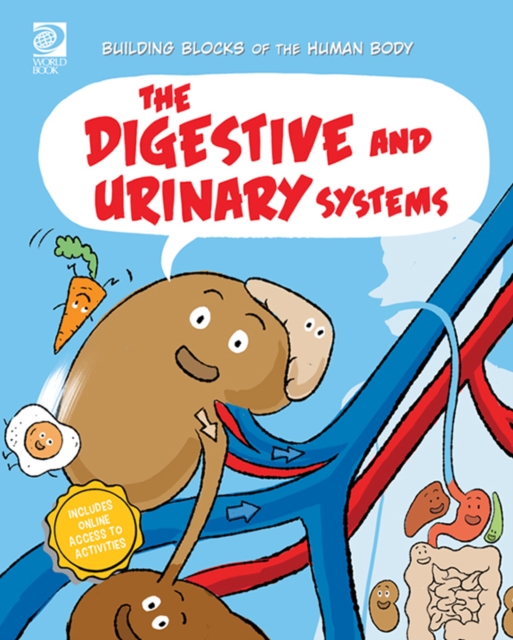 The Digestive and Urinary Systems, PDF eBook