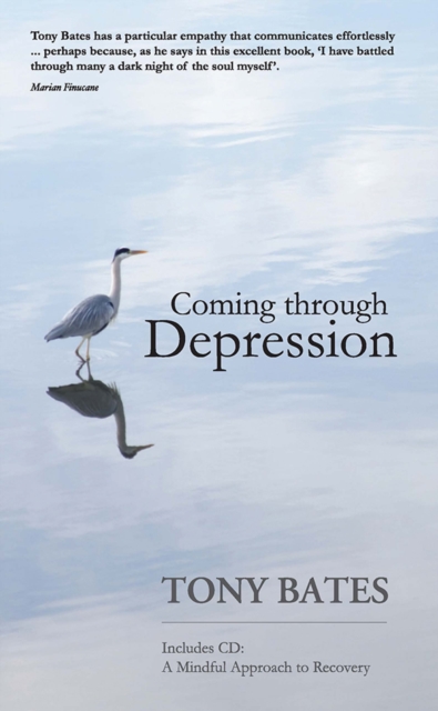 Coming Through Depression, Paperback / softback Book