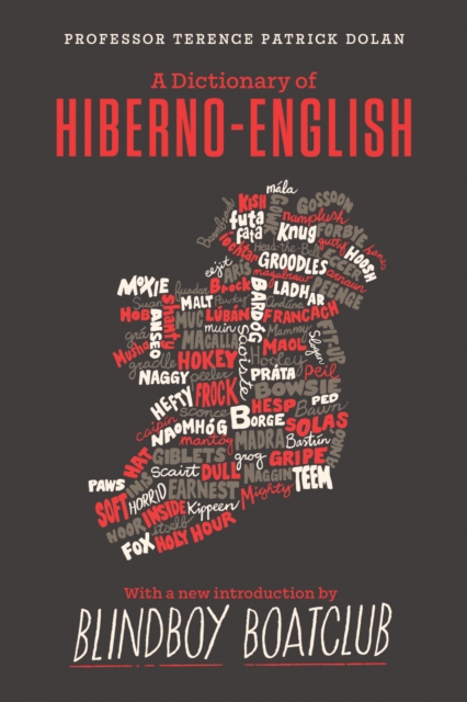 A Dictionary of Hiberno English, Hardback Book
