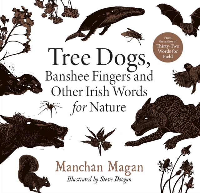 Tree Dogs, Banshee Fingers and Other Irish Words for Nature, Hardback Book
