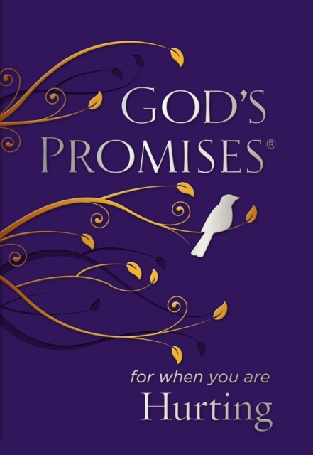 God's Promises for When You are Hurting, Paperback / softback Book