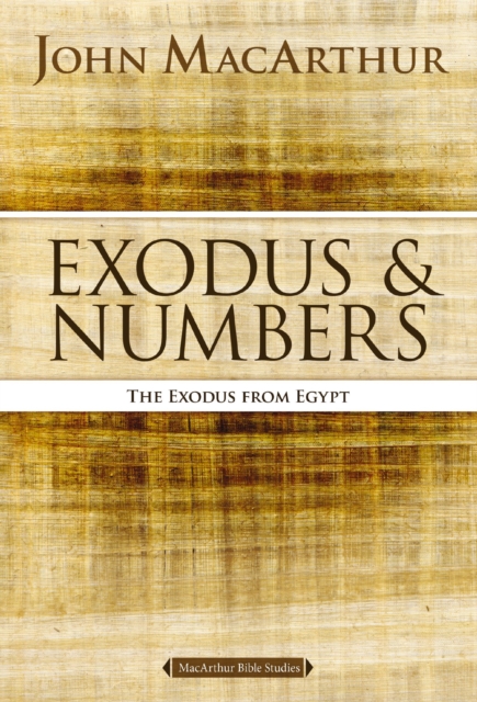 Exodus and Numbers : The Exodus from Egypt, EPUB eBook