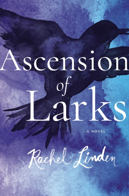 Ascension of Larks, EPUB eBook