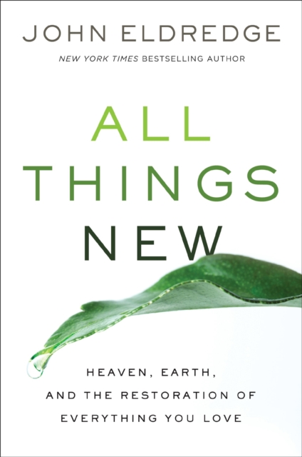 All Things New : Heaven, Earth, and the Restoration of Everything You Love, Paperback / softback Book