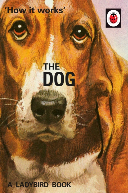 How it Works: The Dog, Hardback Book