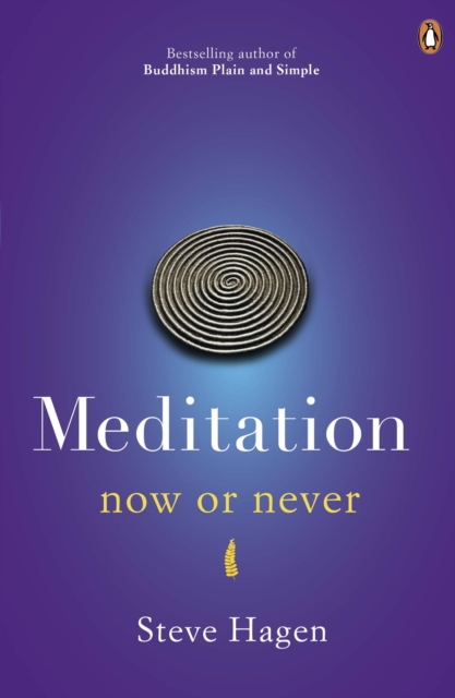 Meditation Now or Never, Paperback / softback Book