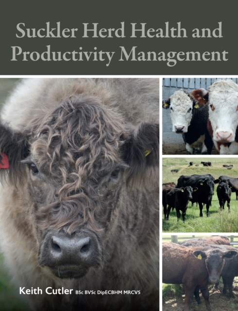 Suckler Herd Health and Productivity Management, Paperback / softback Book