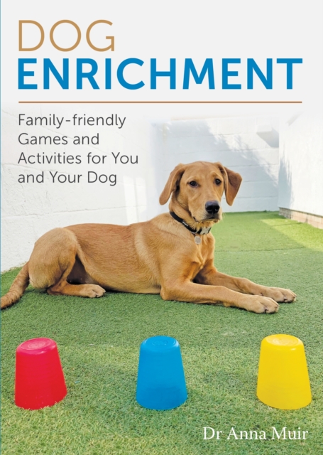 Dog Enrichment : Family-friendly Games and Activities for You and Your Dog, Paperback / softback Book