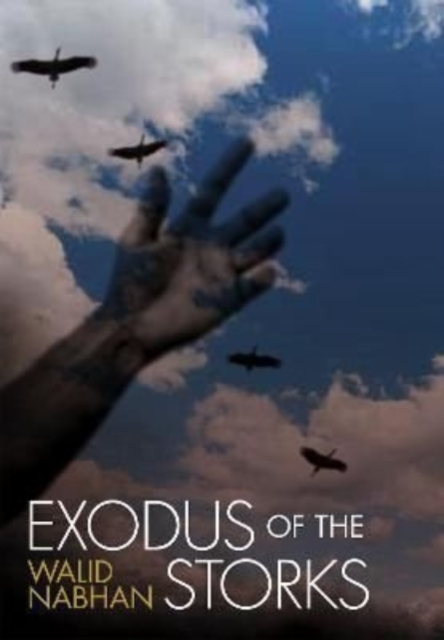 Exodus of the Storks, Hardback Book