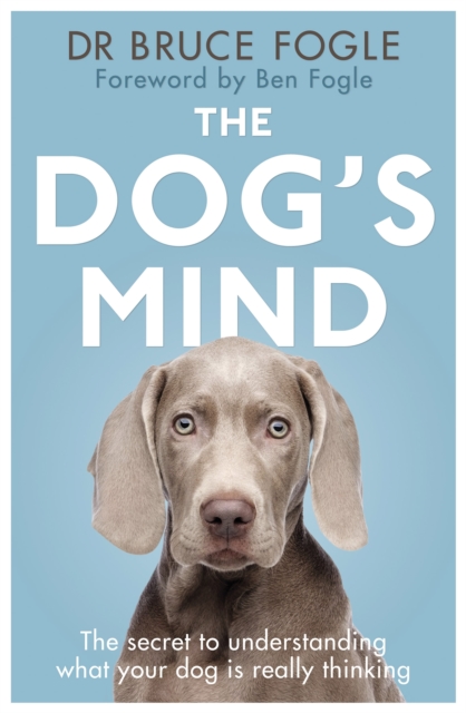 The Dog's Mind, Paperback / softback Book