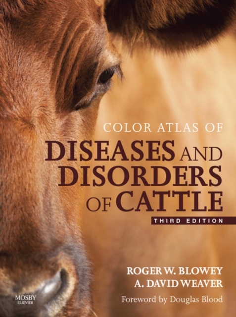 Color Atlas of Diseases and Disorders of Cattle E-Book : Color Atlas of Diseases and Disorders of Cattle E-Book, EPUB eBook