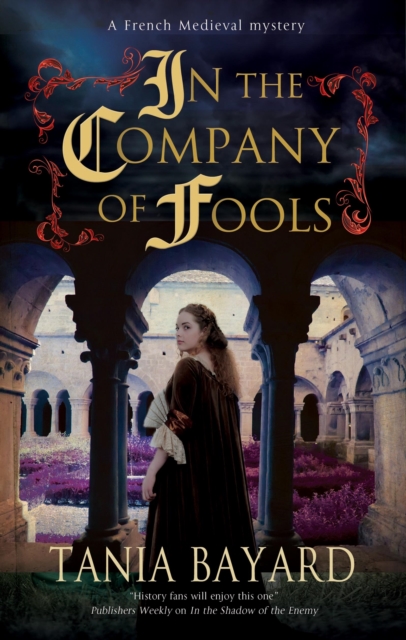 In the Company of Fools, Hardback Book