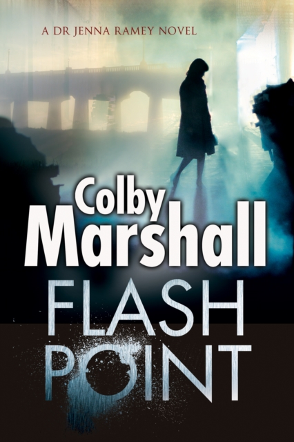 Flash Point : A Psychological Thriller, Hardback Book
