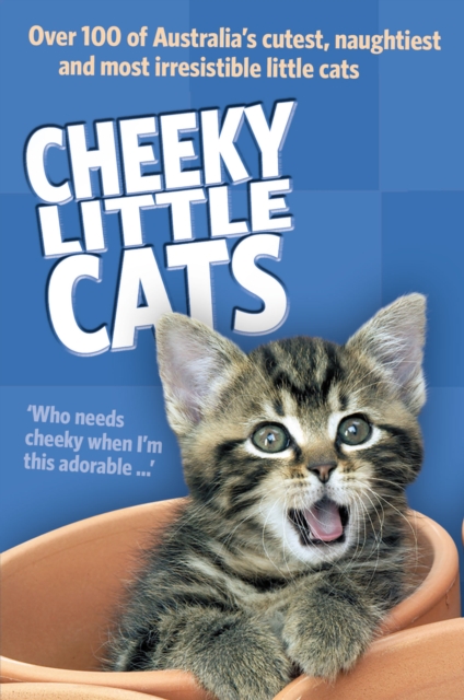 Cheeky Little Cats, EPUB eBook