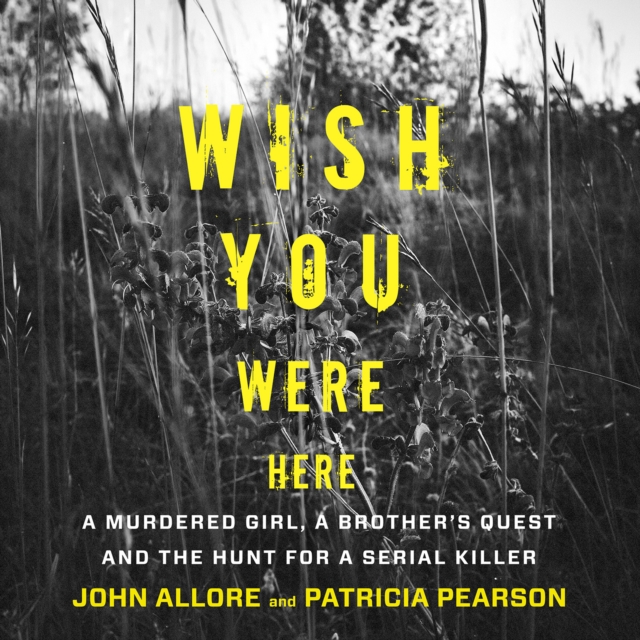 Wish You Were Here, eAudiobook MP3 eaudioBook