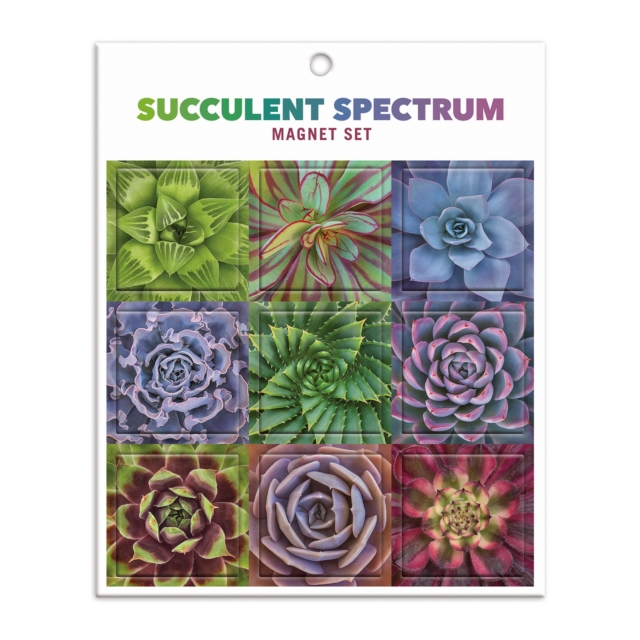 Succulent Spectrum Magnet Set, General merchandise Book