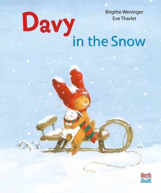 Davy in the Snow, Hardback Book