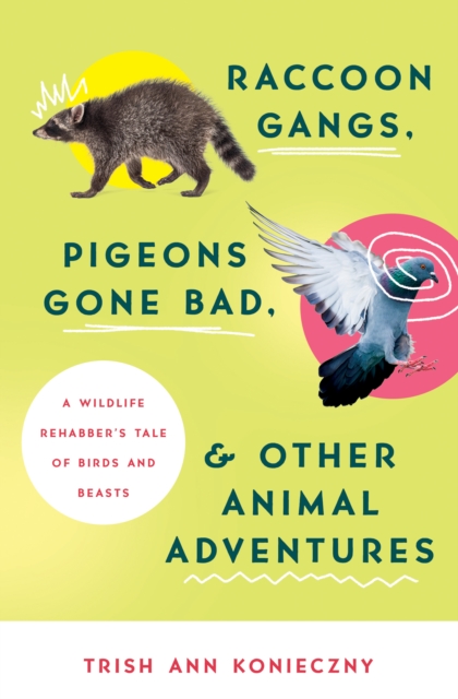 Raccoon Gangs, Pigeons Gone Bad, and Other Animal Adventures : A Wildlife Rehabber's Tale of Birds and Beasts, EPUB eBook