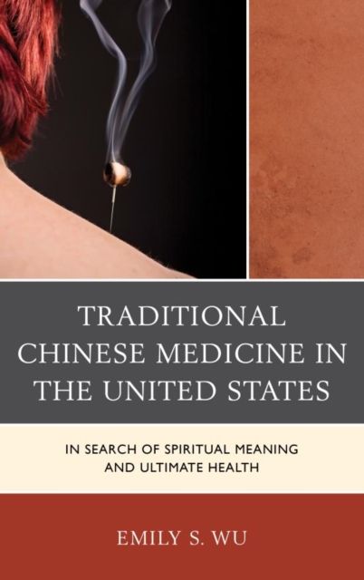 Traditional Chinese Medicine in the United States : In Search of Spiritual Meaning and Ultimate Health, EPUB eBook
