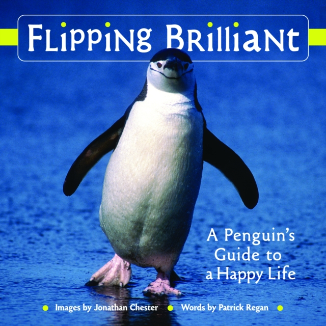 Flipping Brilliant : A Penguin's Guide to a Happy Life, EPUB eBook