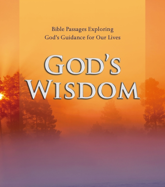 God's Wisdom : Bible Passages Exploring God's Guidance for Our Lives, eAudiobook MP3 eaudioBook