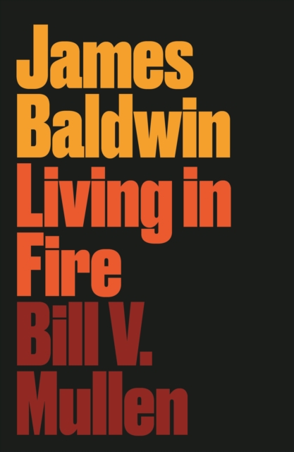 James Baldwin : Living in Fire, Hardback Book
