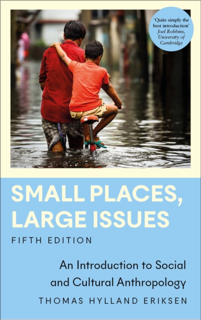 Small Places, Large Issues : An Introduction to Social and Cultural Anthropology, PDF eBook
