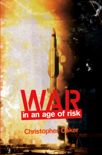 War in an Age of Risk, EPUB eBook