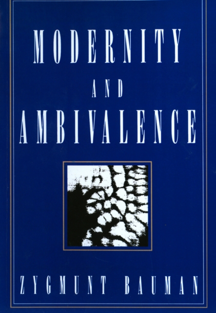 Modernity and Ambivalence, EPUB eBook