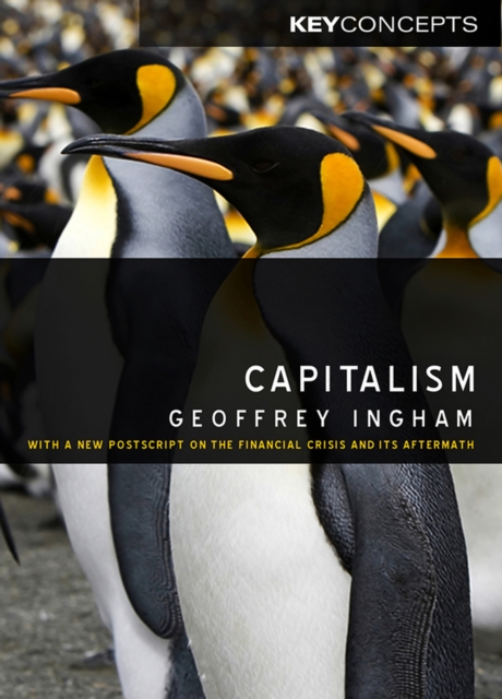 Capitalism : With a New Postscript on the Financial Crisis and Its Aftermath, EPUB eBook