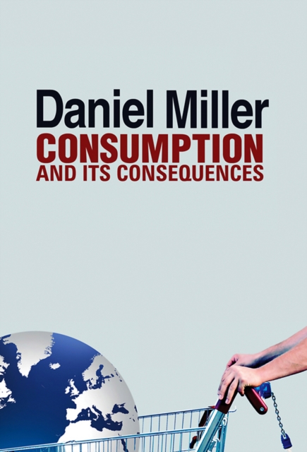 Consumption and Its Consequences, Paperback / softback Book