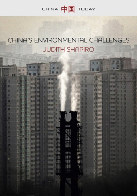 China's Environmental Challenges, EPUB eBook
