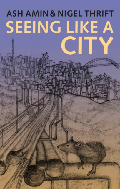 Seeing Like a City, Paperback / softback Book