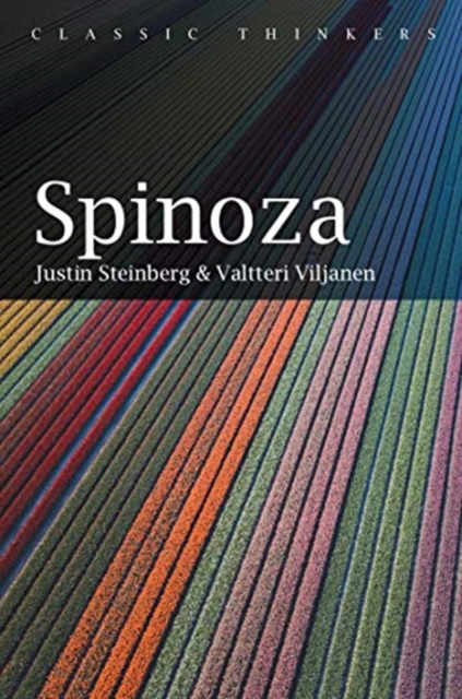 Spinoza, Paperback / softback Book