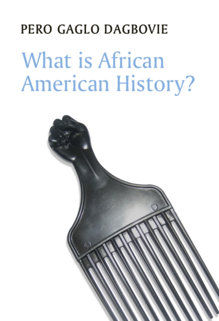 What is African American History?, EPUB eBook