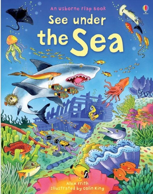 See Under the Sea, Board book Book