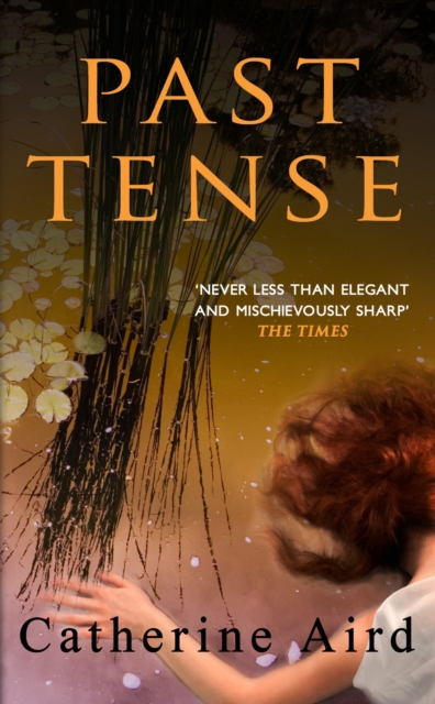 Past Tense, EPUB eBook