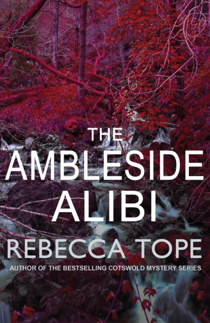 The Ambleside Alibi : The gripping English cosy crime series, Paperback / softback Book