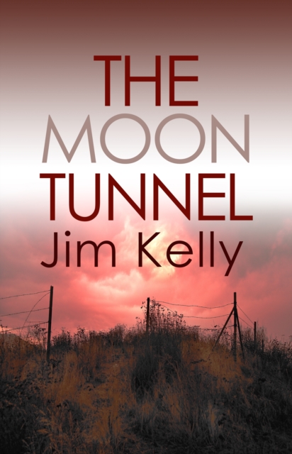 The Moon Tunnel : The past is not buried deep in Cambridgeshire, Paperback / softback Book