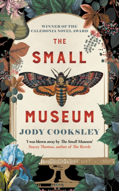 The Small Museum : A chilling historical mystery set against the gothic backdrop of Victorian London, Hardback Book