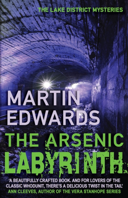 The Arsenic Labyrinth : The evocative and compelling cold case mystery, Paperback / softback Book
