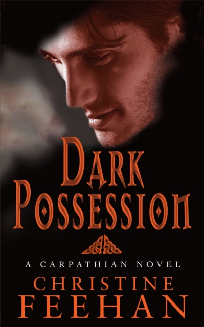 Dark Possession : Number 18 in series, Paperback / softback Book