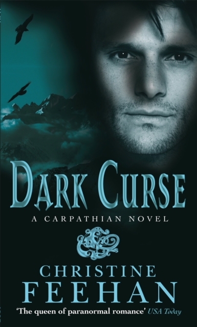 Dark Curse : Number 19 in series, Paperback / softback Book