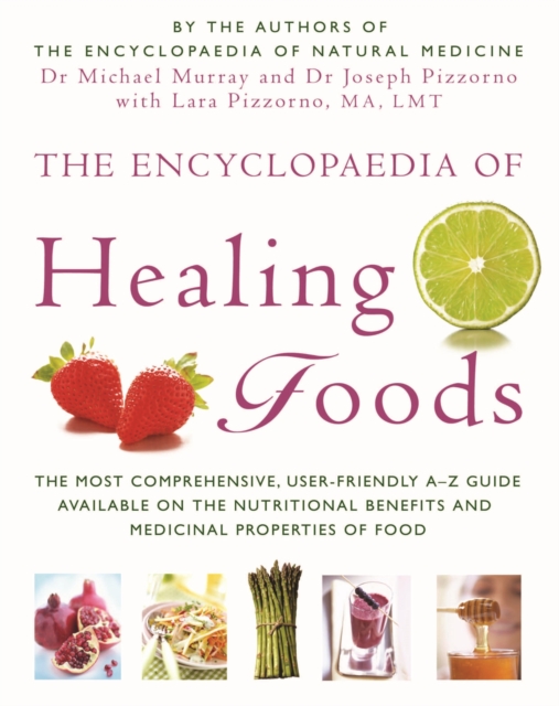 The Encyclopaedia Of Healing Foods, Paperback / softback Book