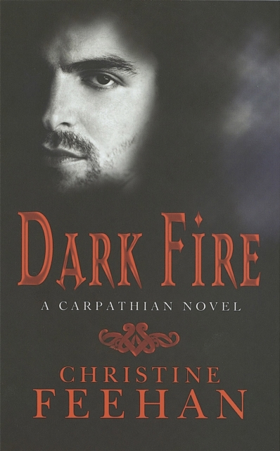 Dark Fire : Number 6 in series, Paperback / softback Book