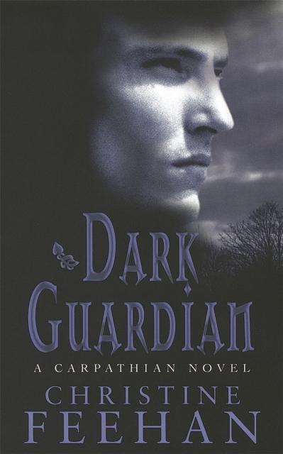 Dark Guardian : Number 9 in series, Paperback / softback Book