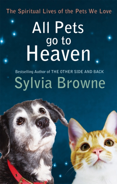 All Pets Go To Heaven : The spiritual lives of the animals we love, Paperback / softback Book