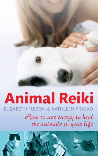 Animal Reiki : How to use energy to heal the animals in your life, Paperback / softback Book
