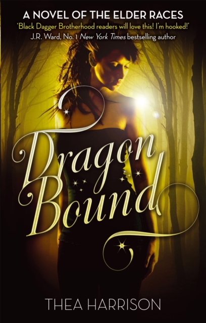 Dragon Bound : Number 1 in series, Paperback / softback Book